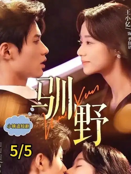 小巷人家 年代剧热播